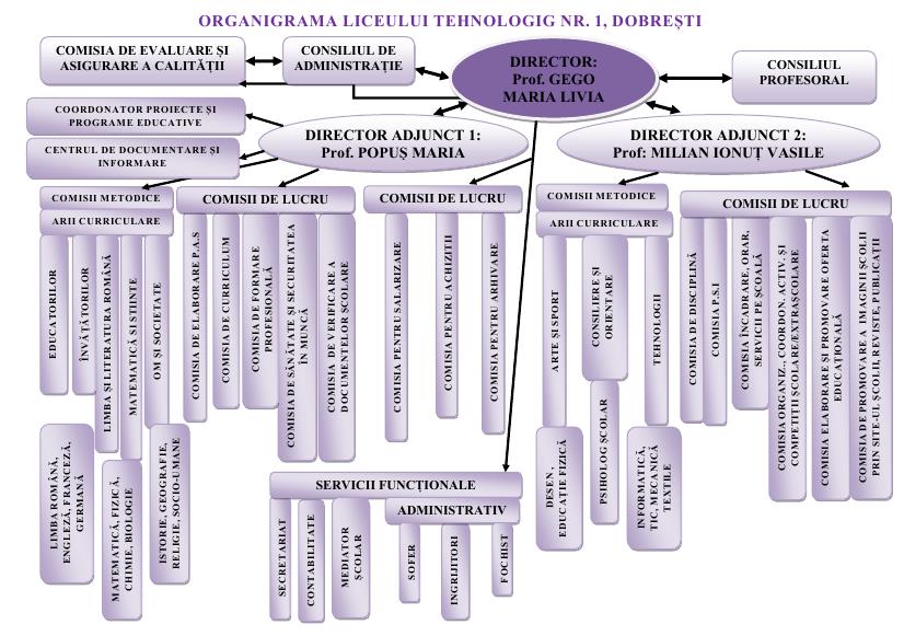 organigrama